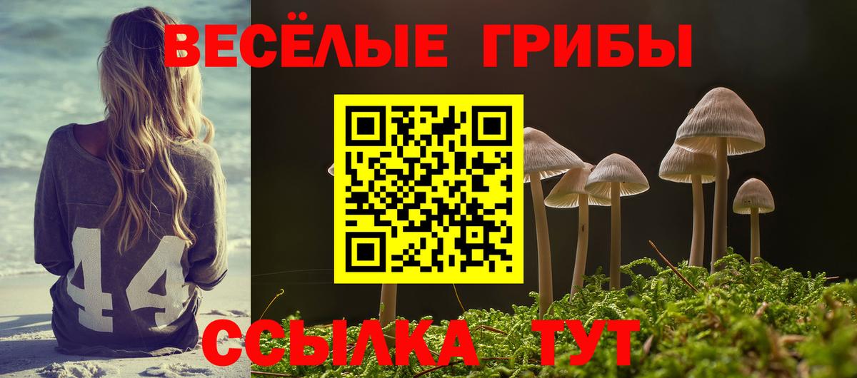 Псилоцибиновые грибы Psilocybe Аша